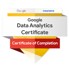 Google Data Analytics certificate